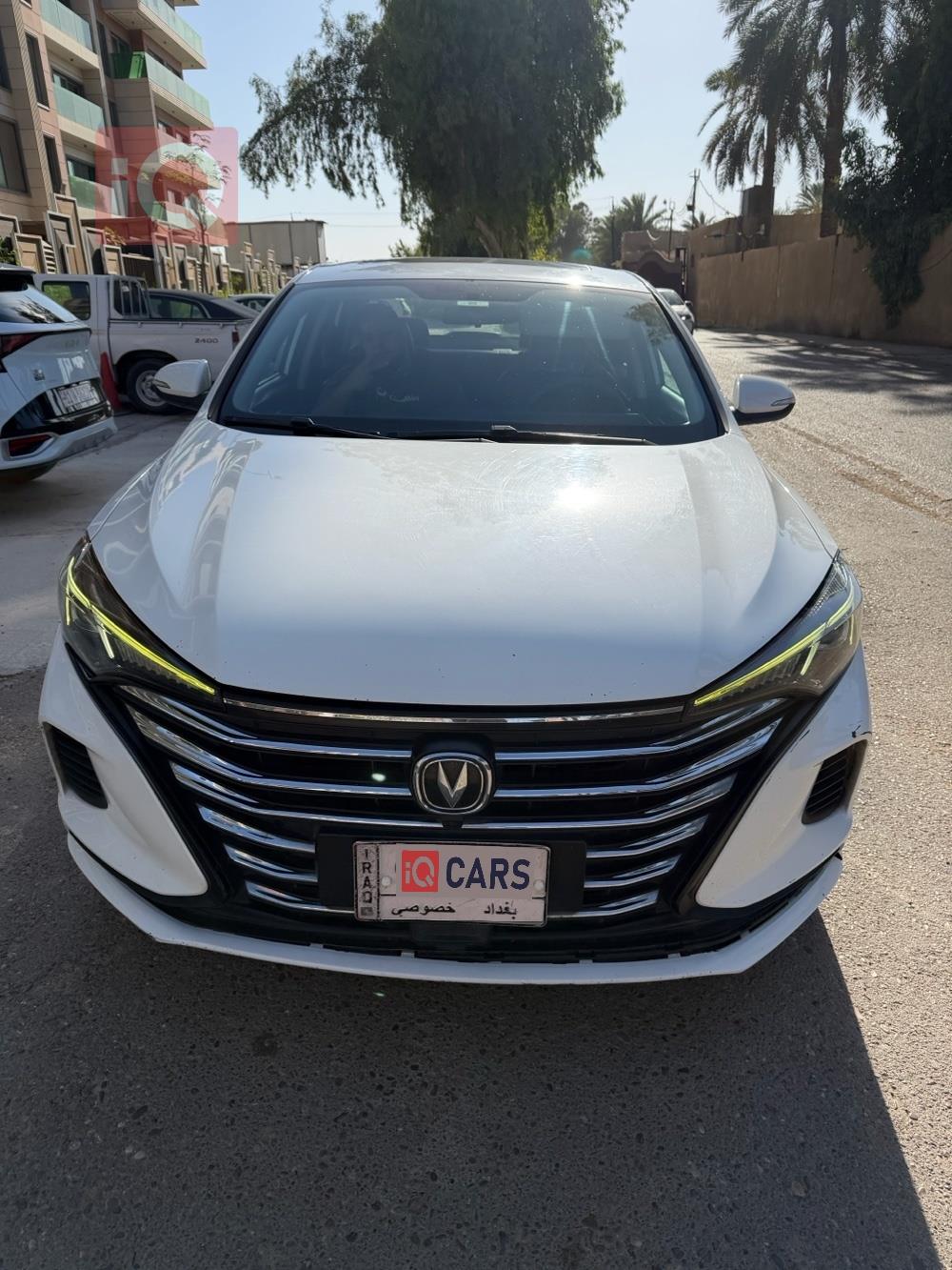 شانجان إيدو